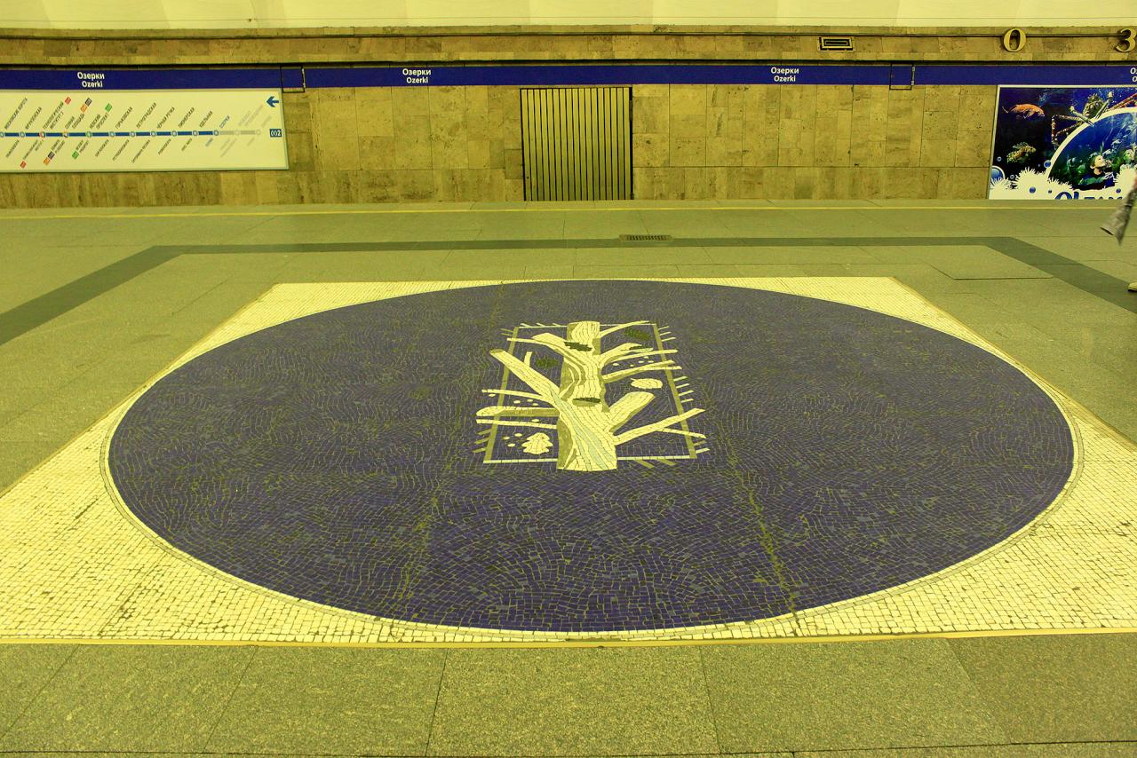станция метро озерки фото