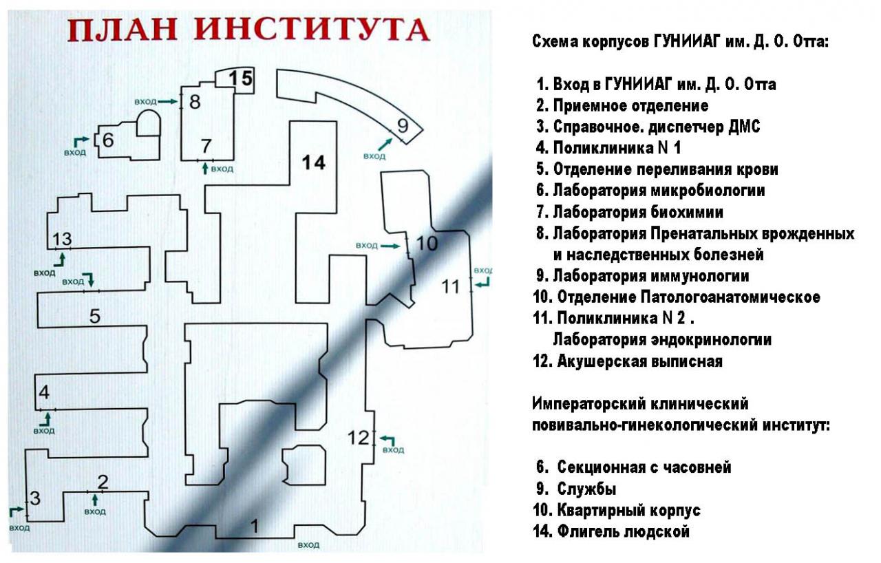 Институт отта отзывы. НИИ Отта план здания. Институт Отта карта корпусов. План института. Институт Отта план схема.